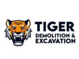Tiger demolition