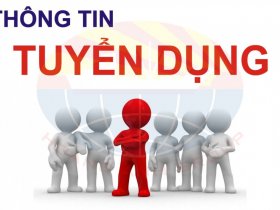Tim viec lam