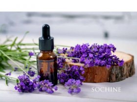 Tinh dầu thơm phòng cao cấp Sochine