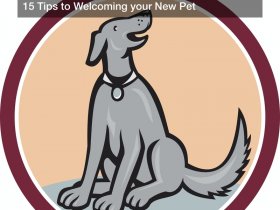 Tips to Welcoming your New Pet