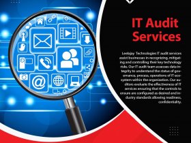 Top IT Audit Services Provider in Noida