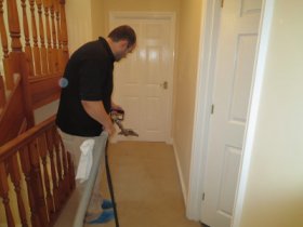 Top-rated carpet cleaning