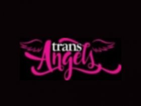 Trans Angels