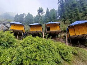 Tree House In chail
