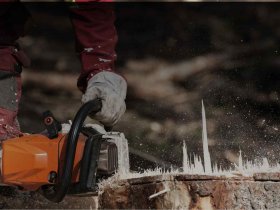 Tree Services Adelaide Hills