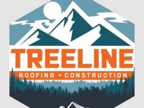 treelineroofingconstructionllc