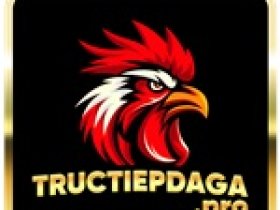 tructiepdaga pro