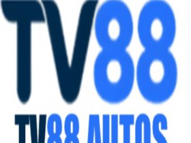 Tv88