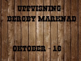 Uppvisning Bergby höstmarknad -16