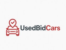 UsedBidCars Auction History By VIN