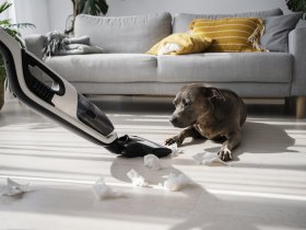 Vacuum Cleaners For Pet Hair