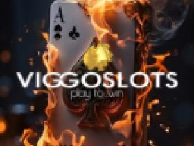 Viggoslot – Boni, die sich freuen!