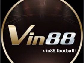 Vin88