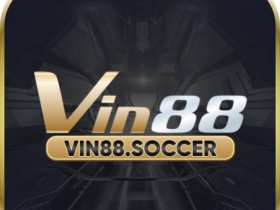VIN88