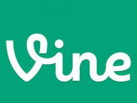 Vine Collections