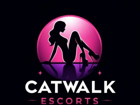 VIP escort services in Goa