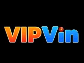 VIPWIN