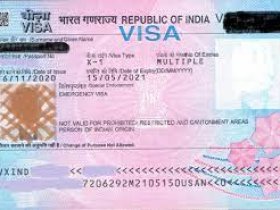 Visa de negocios de India