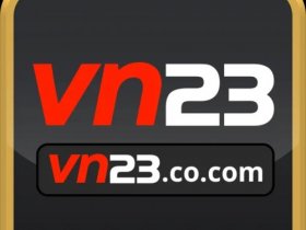 VN23
