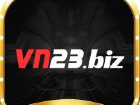 VN23