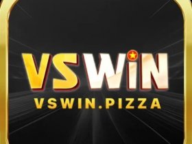 vswin