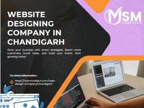 Web Design Services in Chandigarh