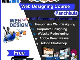 Web Designing Company in Panchkula