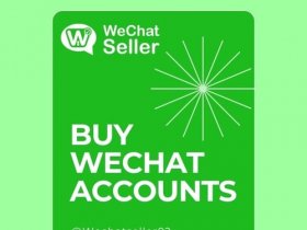 WeChat Seller