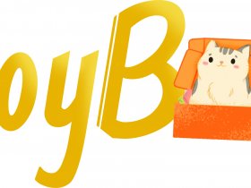 Welcome to JoyBox