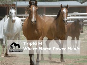 Where Horsepower Heals