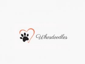 WhosDoodles