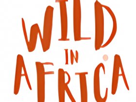 Wild In Africa - Bracelets for Wildlife