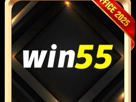 win55comtw