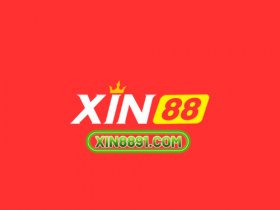 Xin88