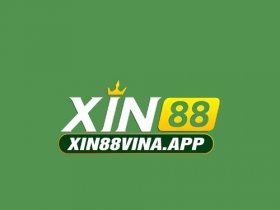 XIN88