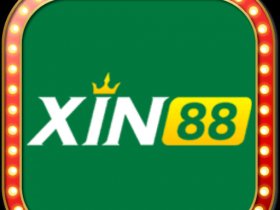 XIN88