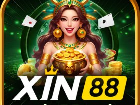 XIN88 onl