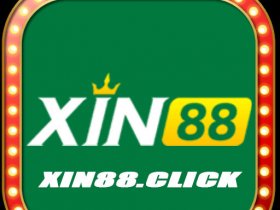 Xin88