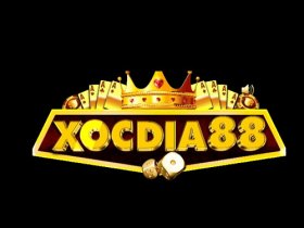 XOCDIA88 – Xóc Đĩa Online Đỉnh Cao