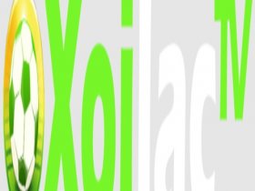 xoilactvnvz.cc  Dead Website