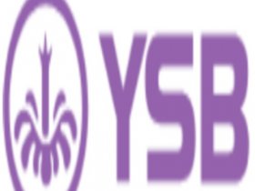 Ysb66