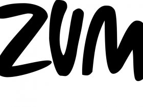 Zumba Fitness Videos