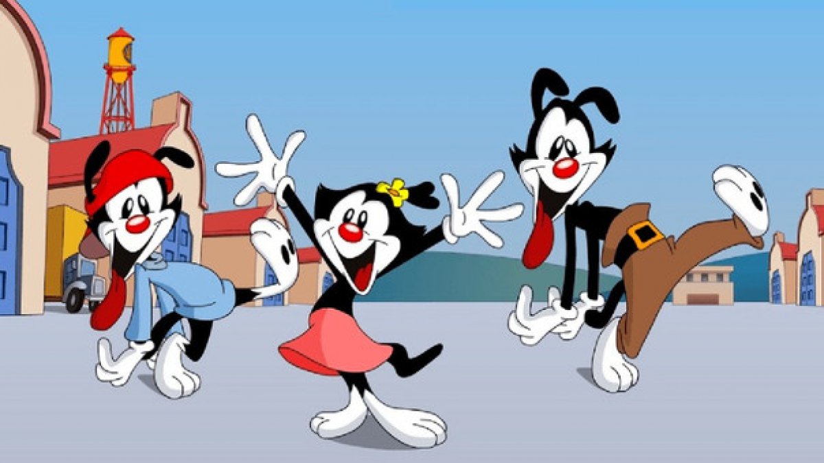 animaniacs q fig