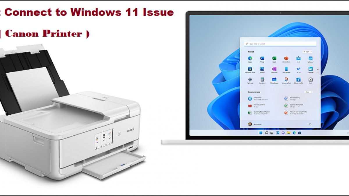 why is my canon printer not detected in windows 11