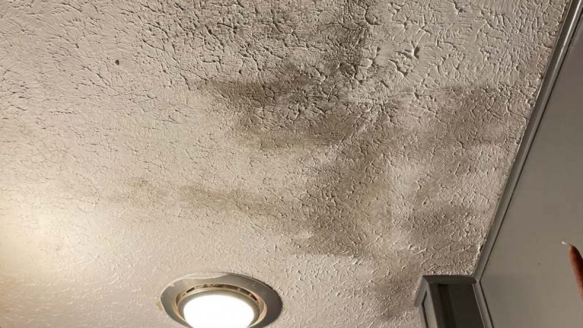 how-to-get-rid-of-mould-on-ceiling