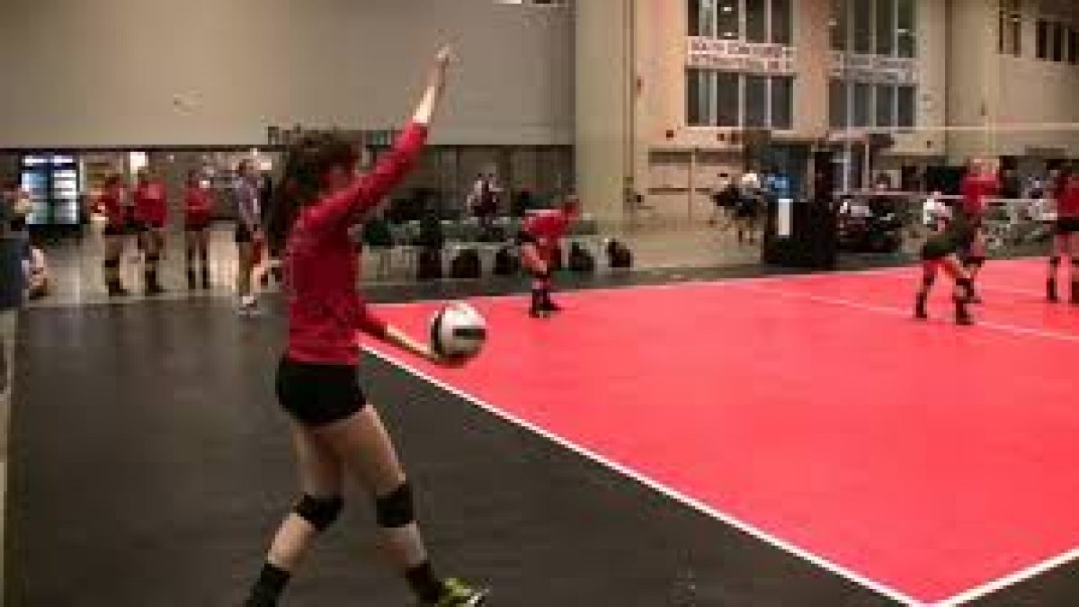 Volleyball Highlights